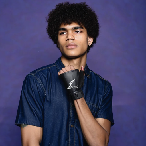 Générez des oeuvres avec des prompts professionnels